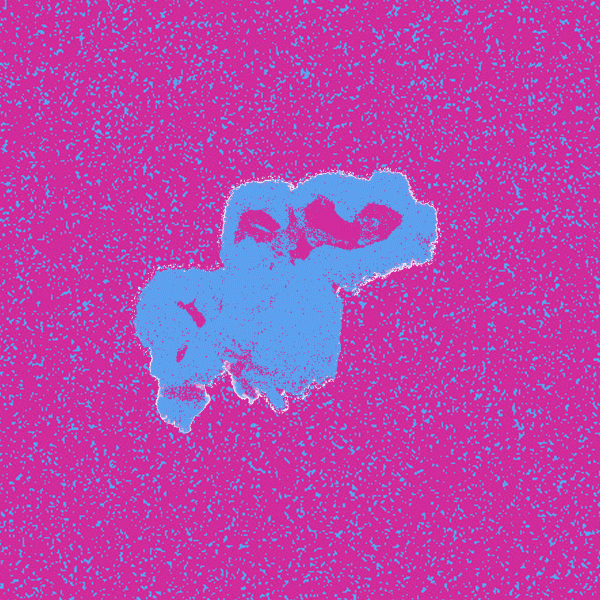 A blue kernel of popcorn.
