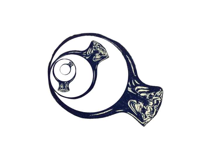 Many lenses within one another.